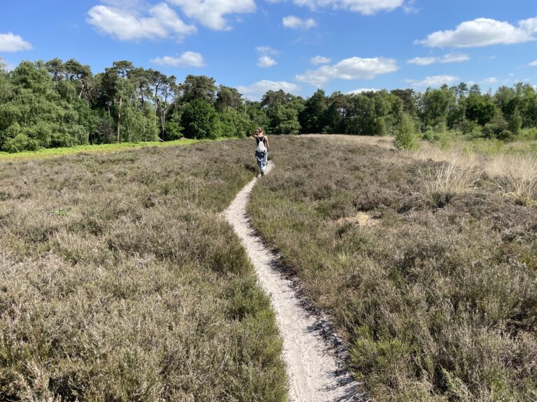 wandeltoch wedo