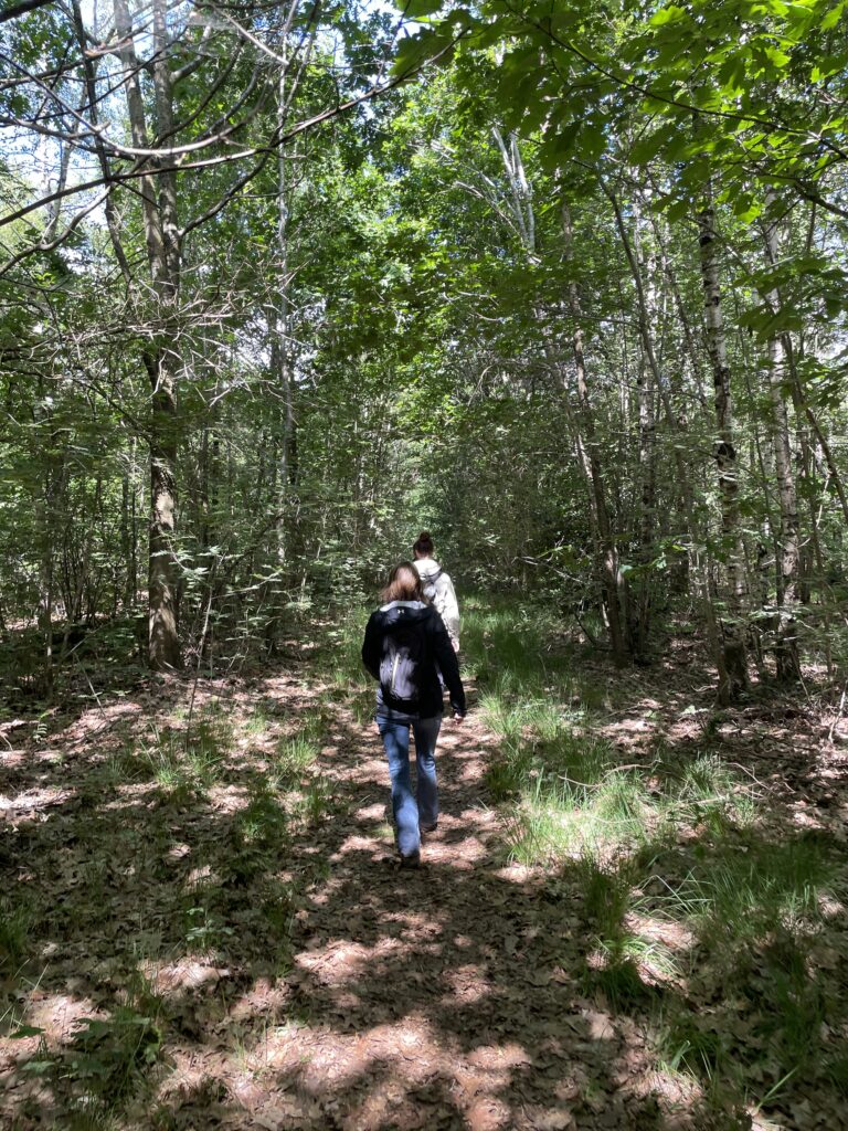wandeltocht bos groep wedo