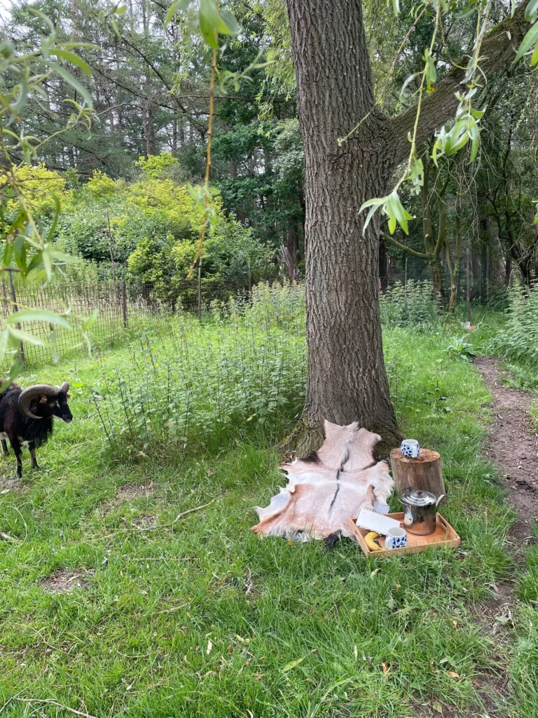 Eigen plek onder een boom met spullen voor een etmaal buiten